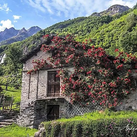 Hotel Piuro